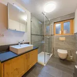 Riquet - Ski/in-out - Jacuzzi Domek alpejski *