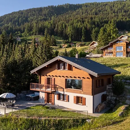 Riquet - Ski/in-out - Jacuzzi